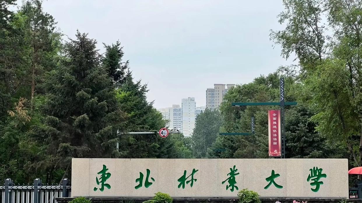 国内高校分享第122期：东北林业大学-东北林业大学学生零成本留学全球顶尖林学院？
