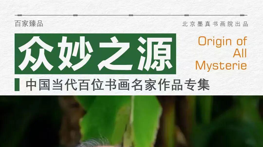 韩天雍《众妙之源》中国当代百位书画名家作品专集