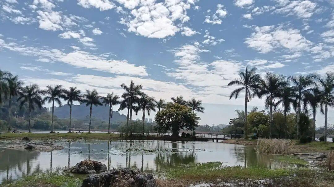 现在的老人比年轻人更注重锻炼身体