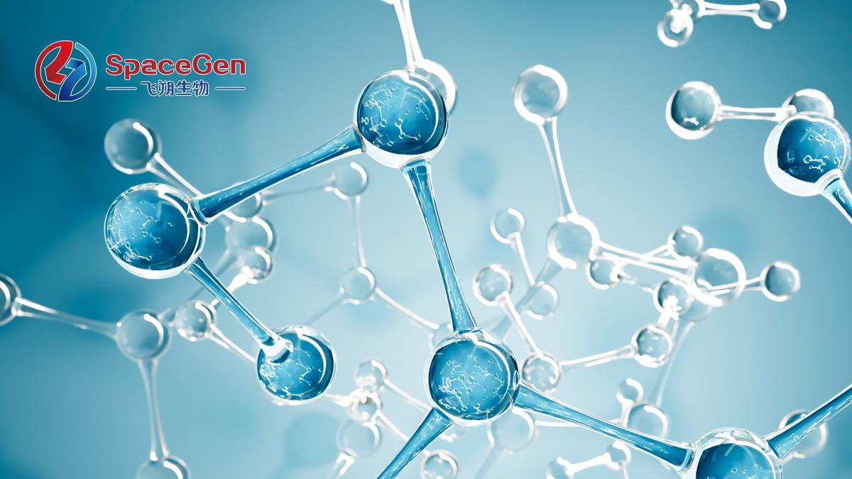 高危前列腺癌分水岭：HRD 评分 + IDC-P 精准分层概述