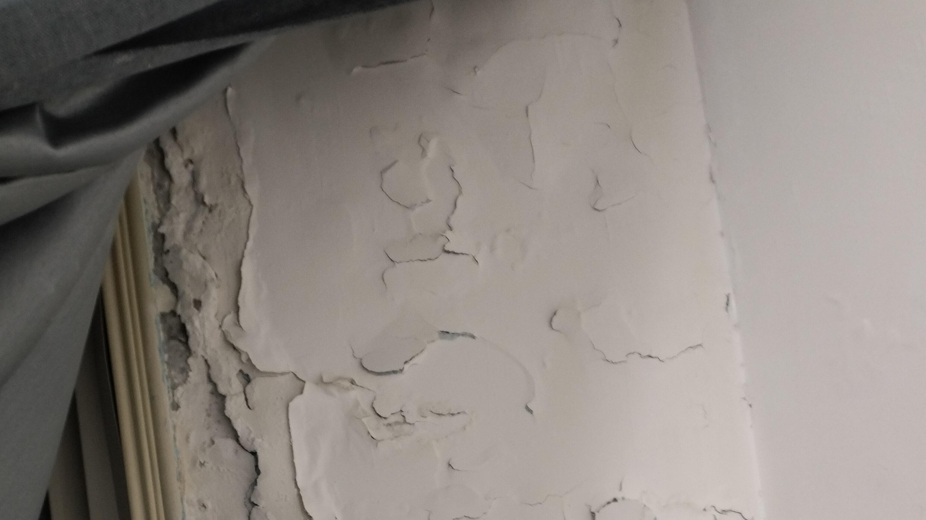 郑州春天回南天，家里墙面发霉怎么处理