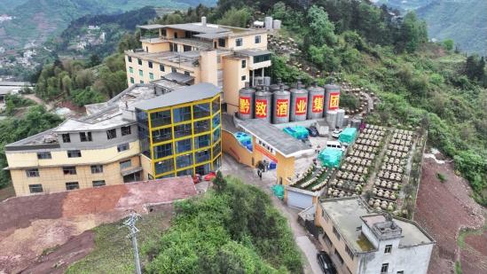 黔致酒业：精准适配消费升级，让纯粮酱酒走进大众生活