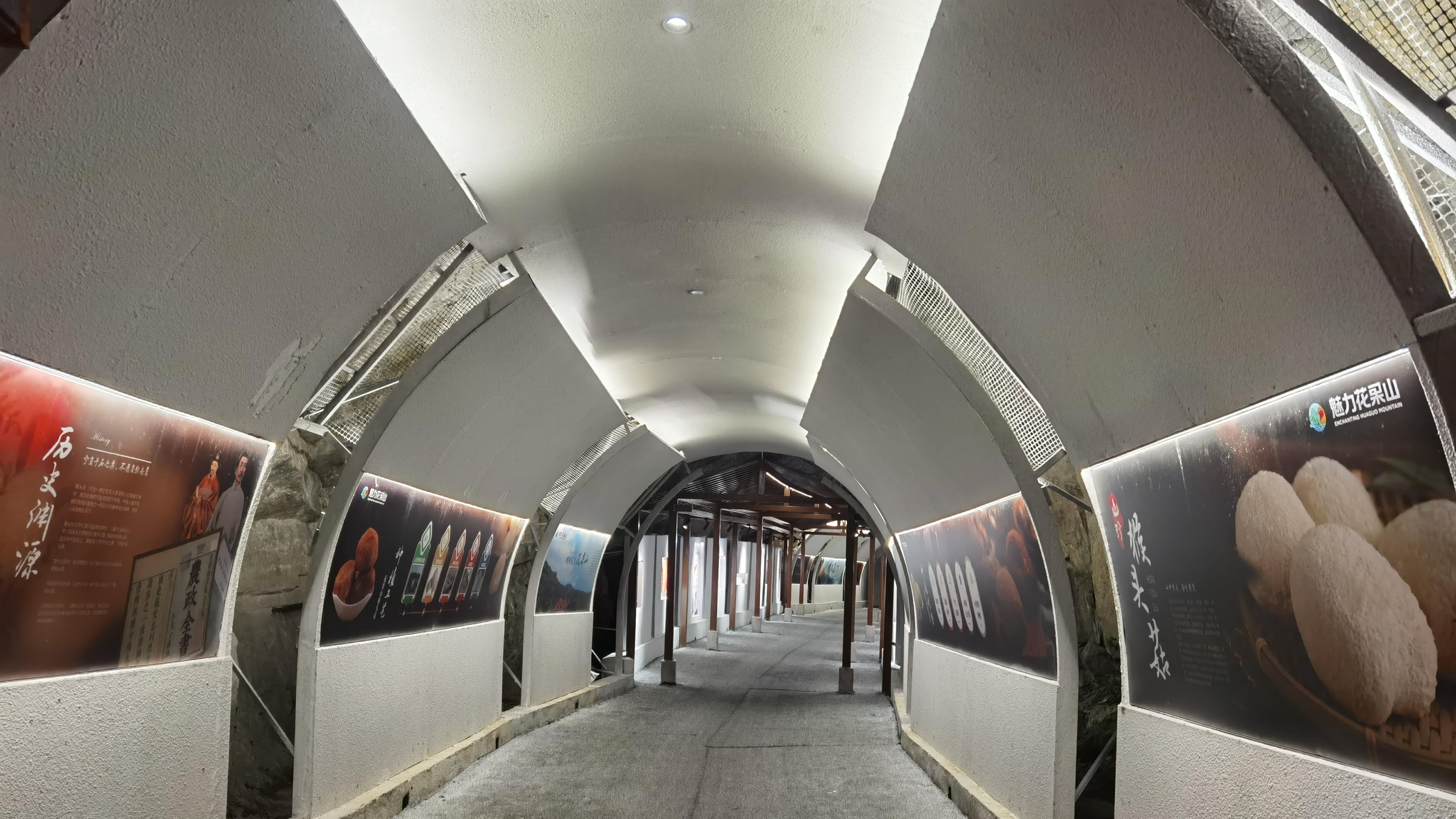 花果山直播孵化基地正式运营｜以菌为媒，以IP为魂，以就业为暖