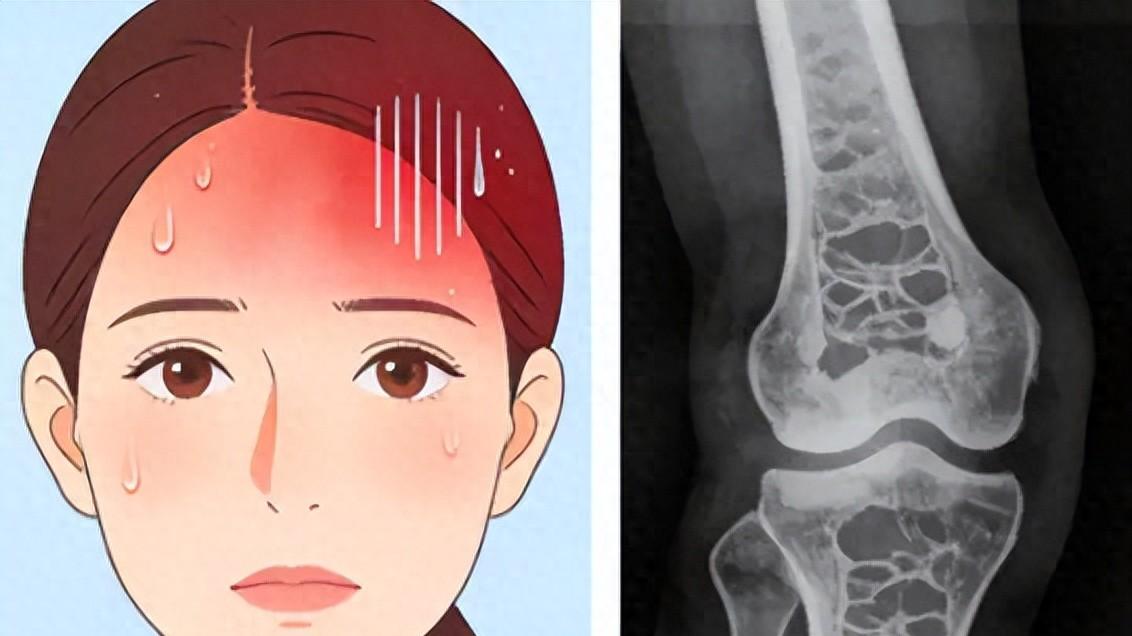 雌激素并非女性的“青春灵药”