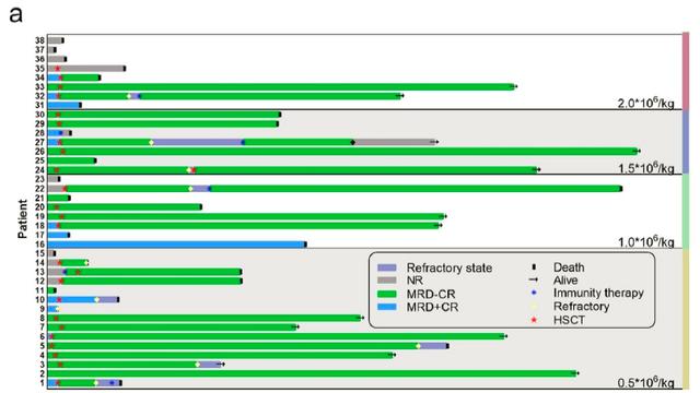 未来可期！CAR-T疗法新突破：白血病疗效显著，实体瘤、自身免疫疾病也现新希望