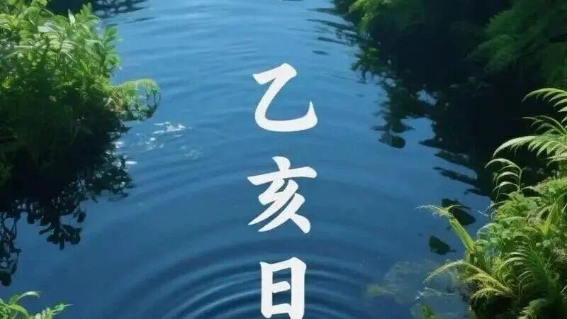 【乙亥日柱】—六十甲子一柱论命