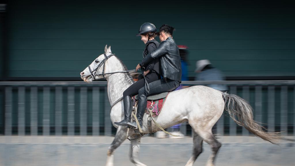 已知函数f(x)=12x^2-3x-14，求f(f(x))的单调区间