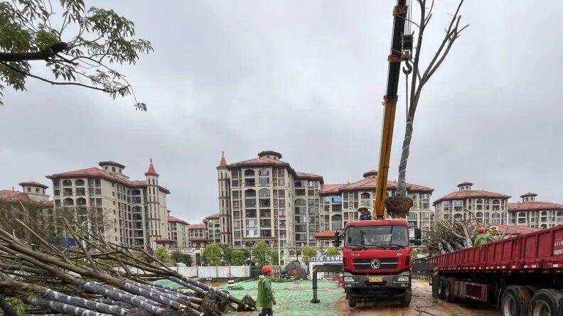 建设提速！泉州市区千亩新区，最新进展曝光！