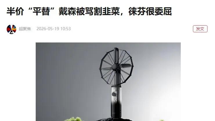 从国货之光到口碑崩塌，叶洪新的徕芬为何变了味？