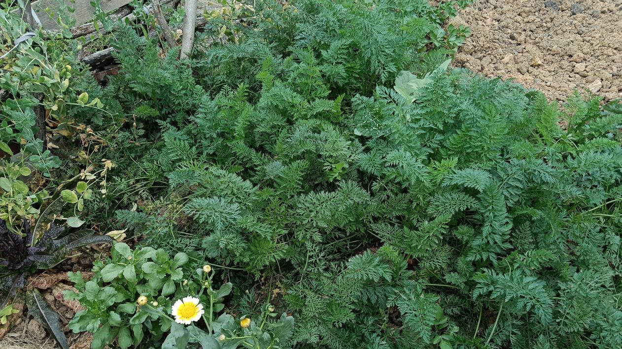 小时候简单的快乐很令人难忘