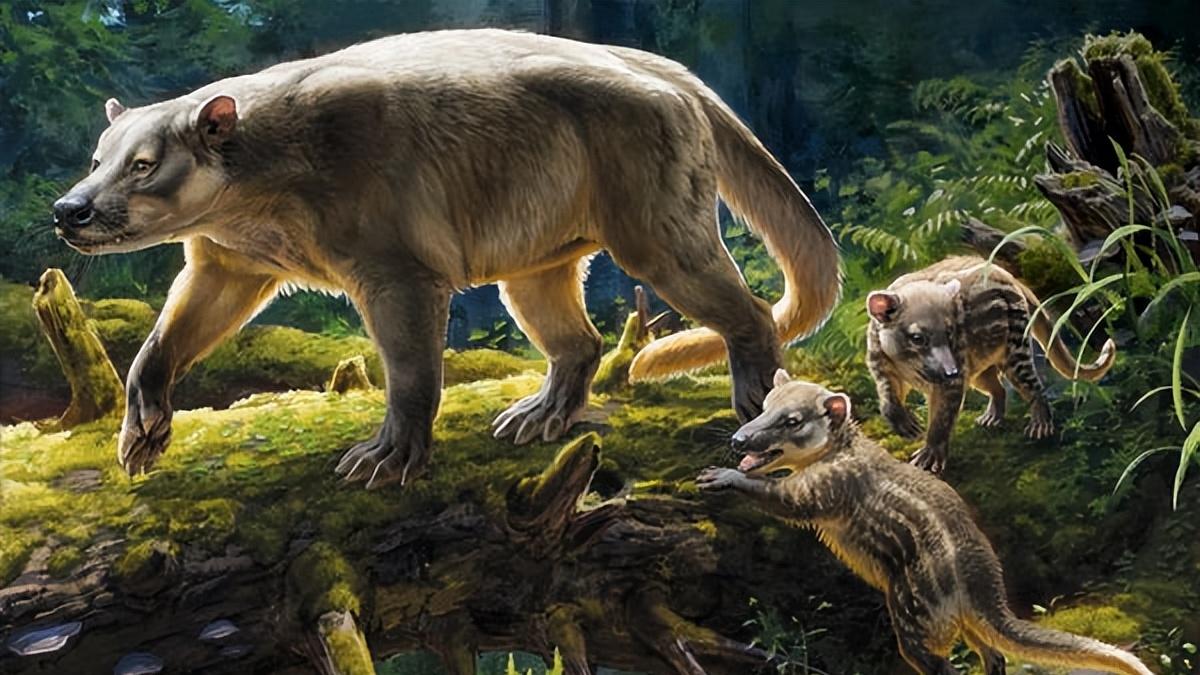 恐龙灭绝后的100万年：地球进入了一个完全陌生的时代