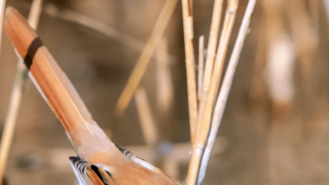 为什么我不再相信“情商”