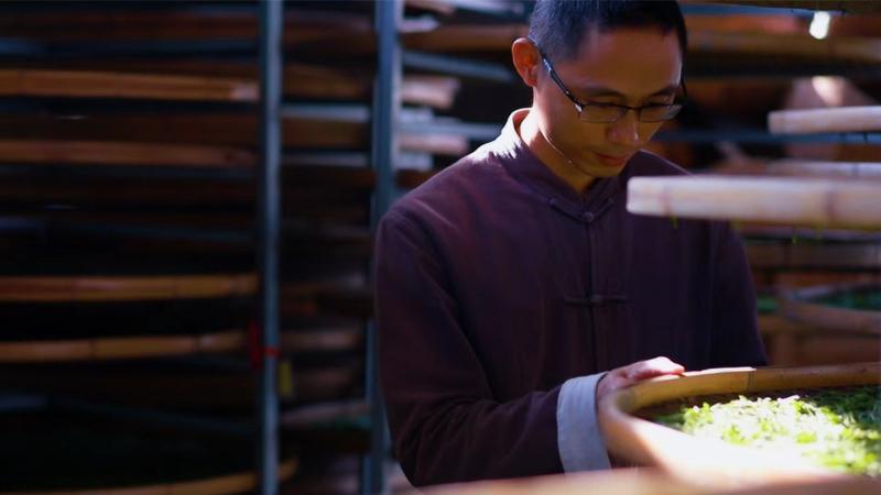 掌握这个细节，让你的白茶更好喝