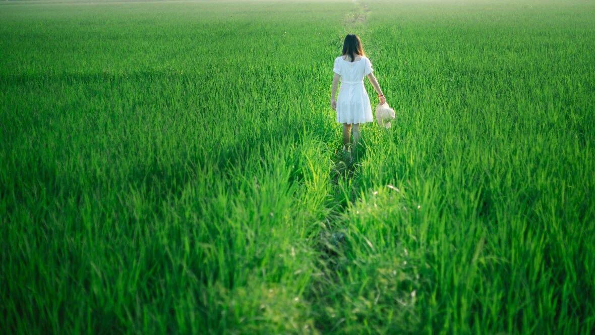 生活很苦，但你可以很甜！