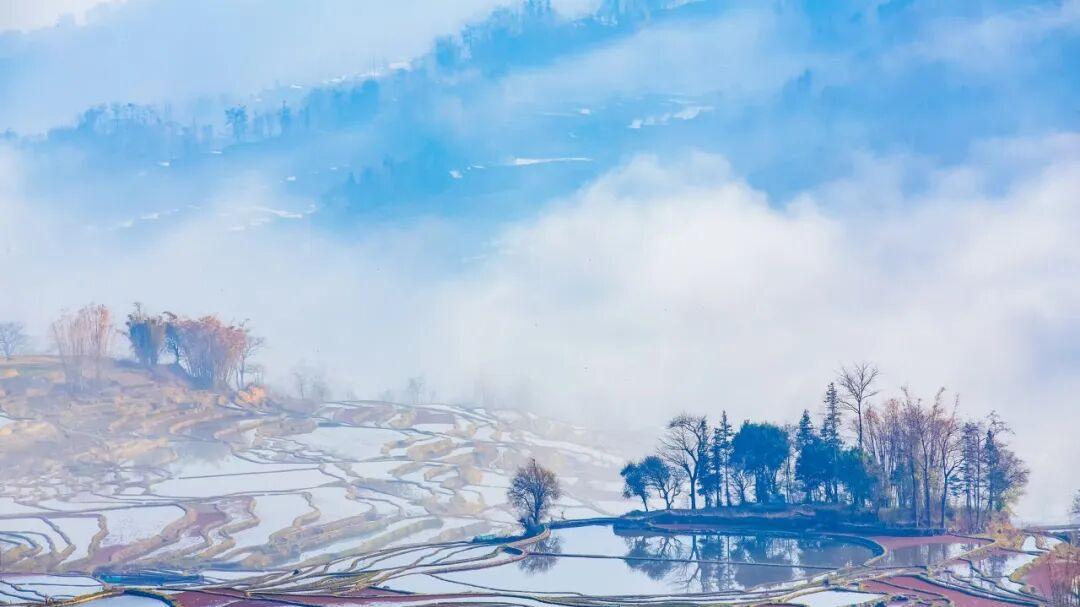 9天春节假，聪明酒店人已靠这招满房溢价