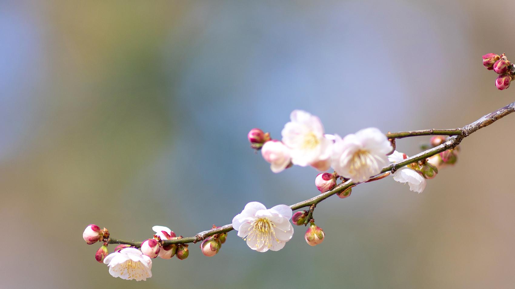 汪缘堂谈食伤的真正价值