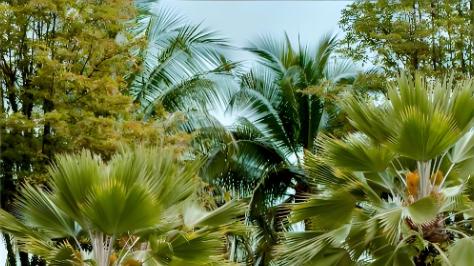 职业十字路口：国际品牌酒店驻店经理，还是酒店业主代表？