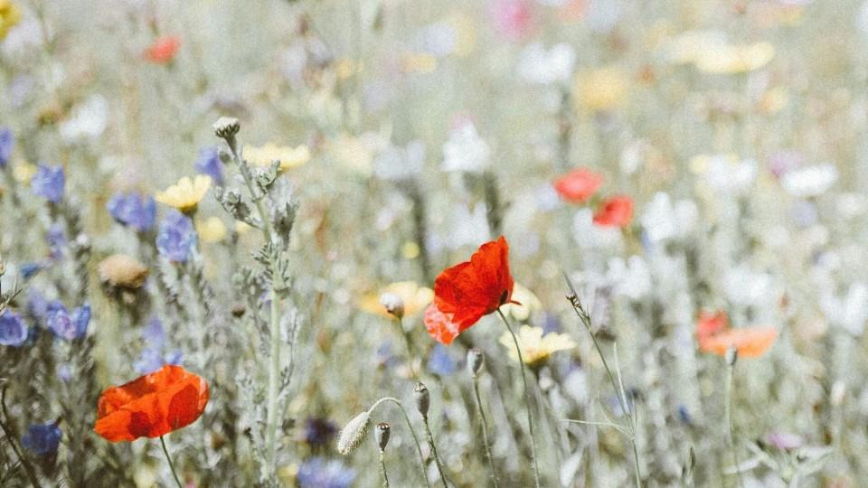 我名下的房子，爸妈偷偷装修想给我弟弟当婚房，我知道后直接卖房