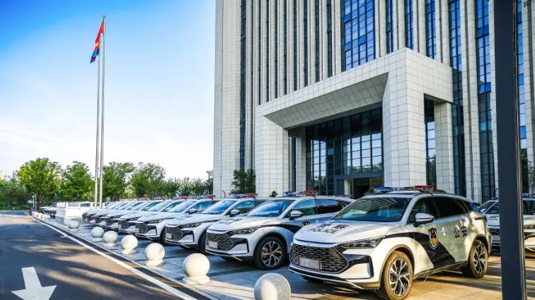 比亚迪玩了一把高端局