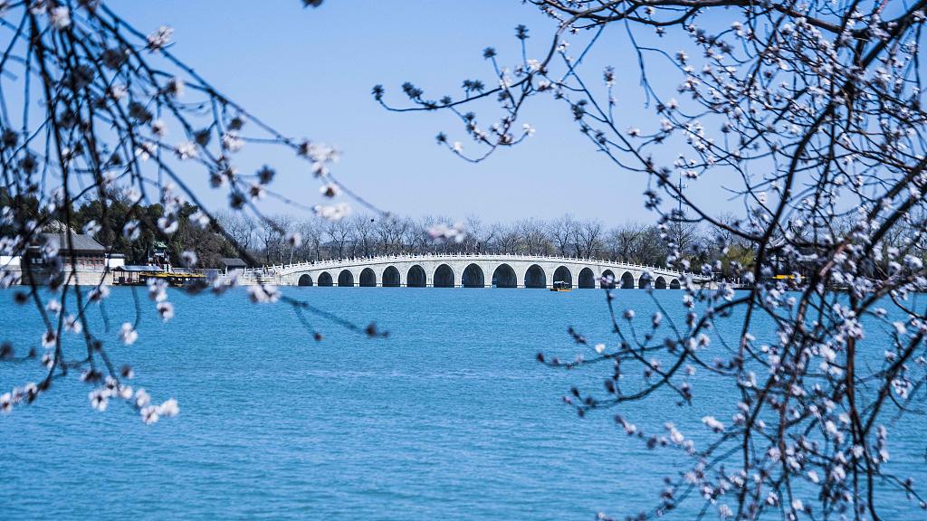 杨景媛最新进展，疑似退出所有社交平台