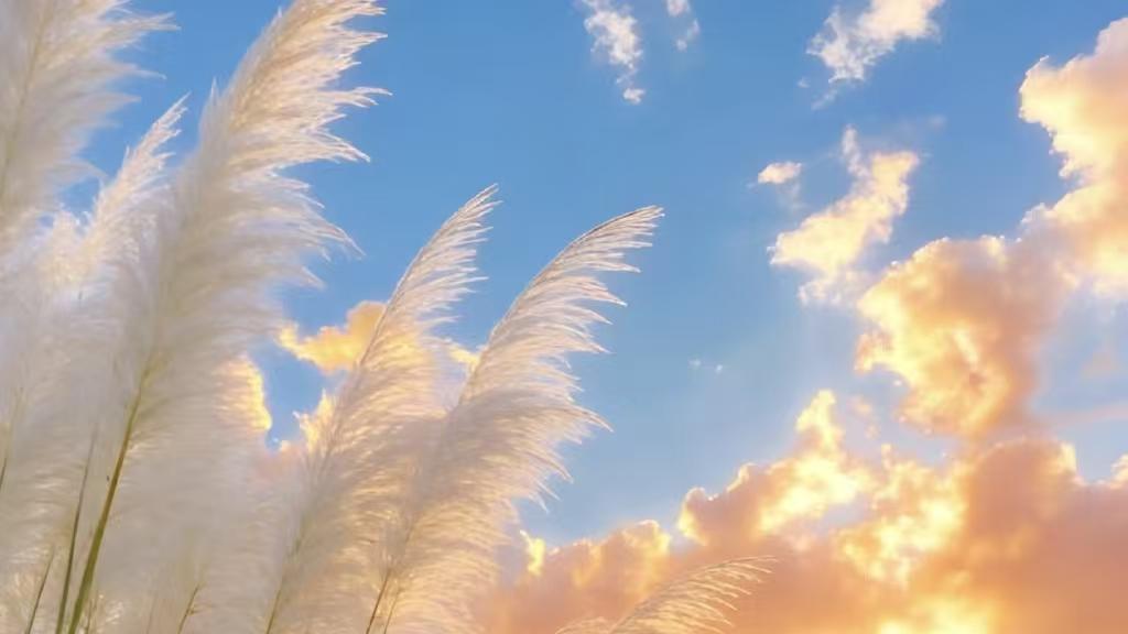 如何选择Fluo-4 AM钙离子荧光探针检测试剂盒？