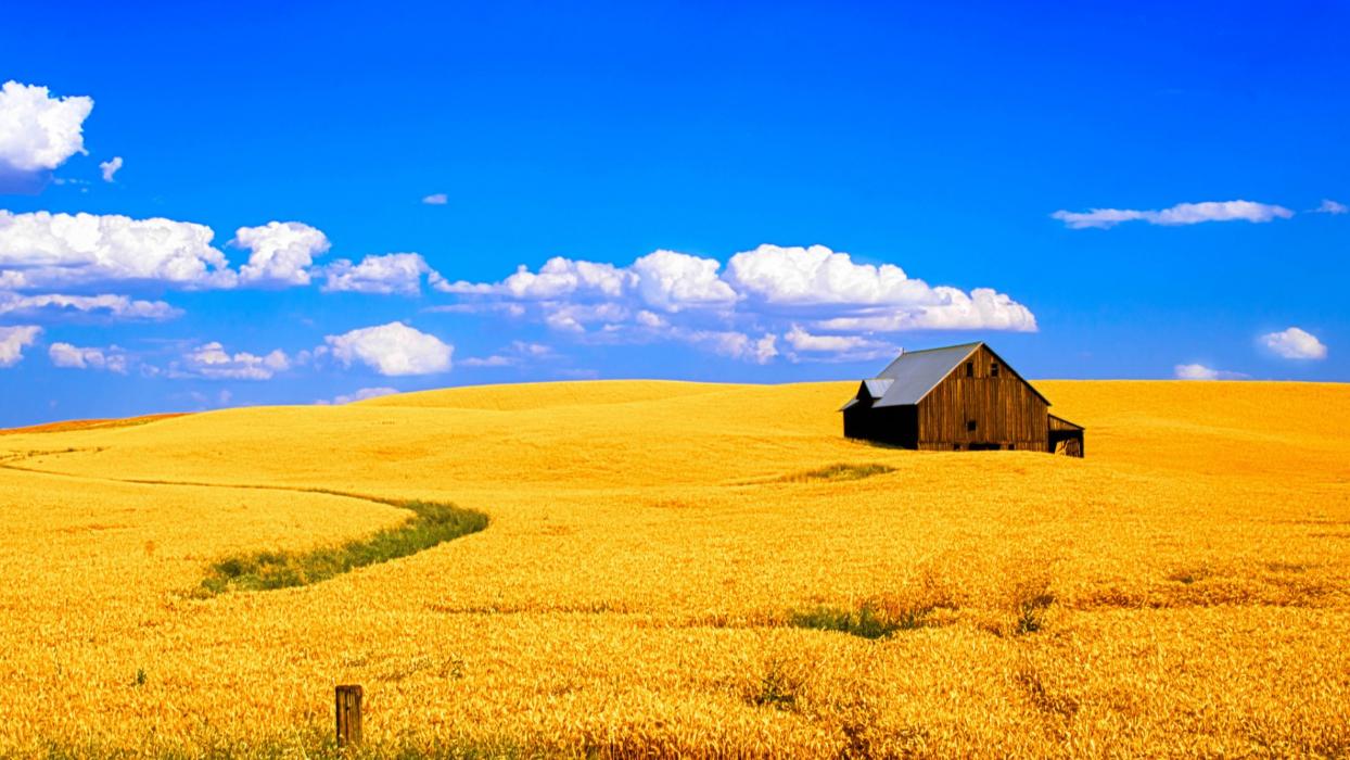 【灵异故事】平时可以喝符水或者乱用符咒吗？