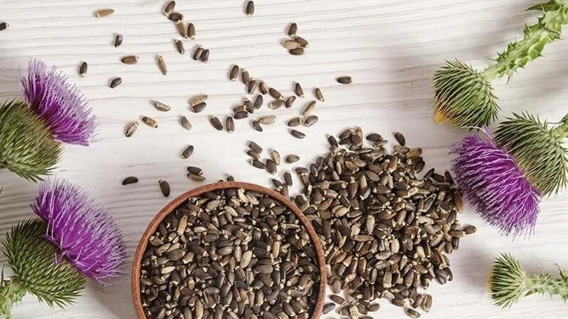 接连发布临床研究成果！汤臣倍健循证科学版图再下一子