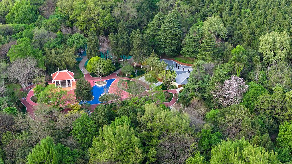 蝴蝶大乐透26039期分析，上期温码开出4个号码，本期需要继续防温码！