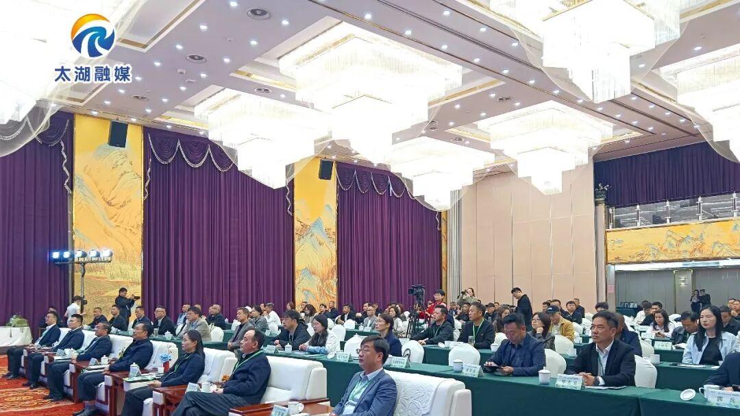 安徽・太湖大别山茶文化发展座谈会暨产销对接活动在太湖举行