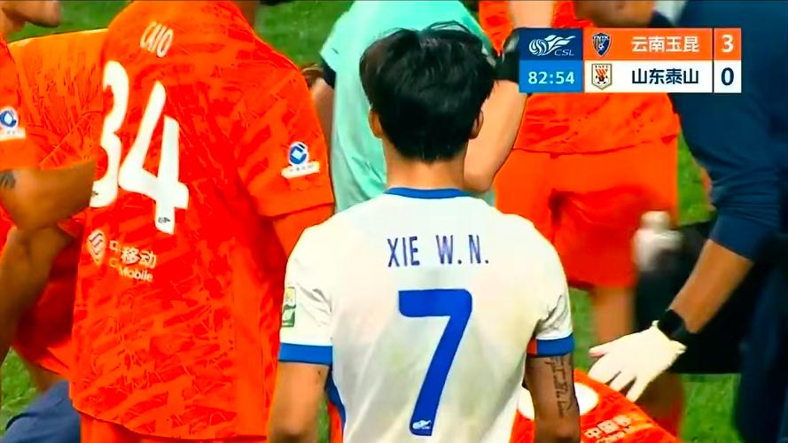 谢文能真冤：越位球给红牌！静待单丹奥受罚！鲁媒：王大雷经历过