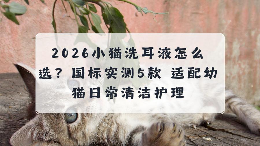 小猫洗耳液怎么选？实测5款温和猫滴耳液，适配幼猫日常清洁护理