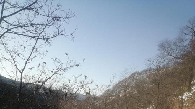 雪后的家乡银装素裹、景美如画