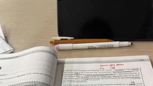 暴躁鸭雅思学员琪雅：我在莫斯科深夜啃雅思真题时，窗外正飘着雪