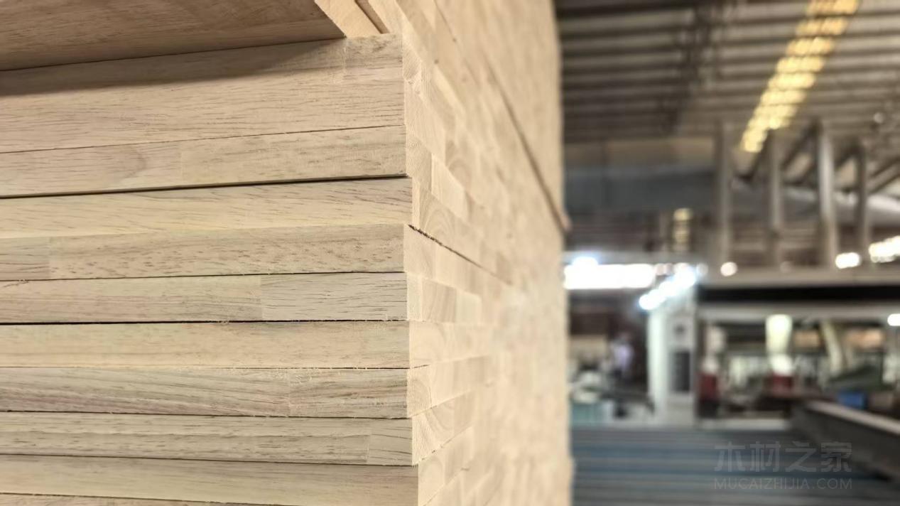 国内橡胶木市场：源头成本持续推高，需求主导价格“冷热不均”