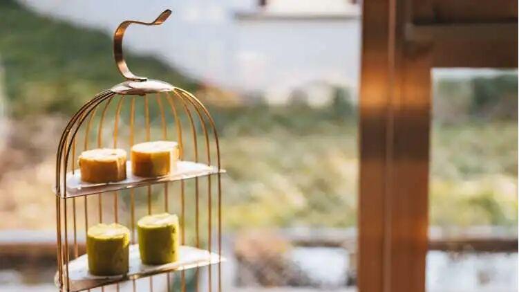 森氧伴团圆，马岁赴清欢——崇明花筑奢森林里酒店，邀您启新程