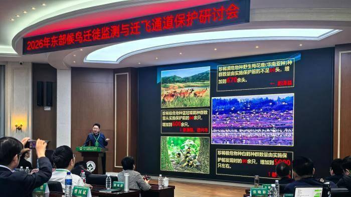 东部候鸟迁飞通道：中国多省联动织密跨国生态保护网