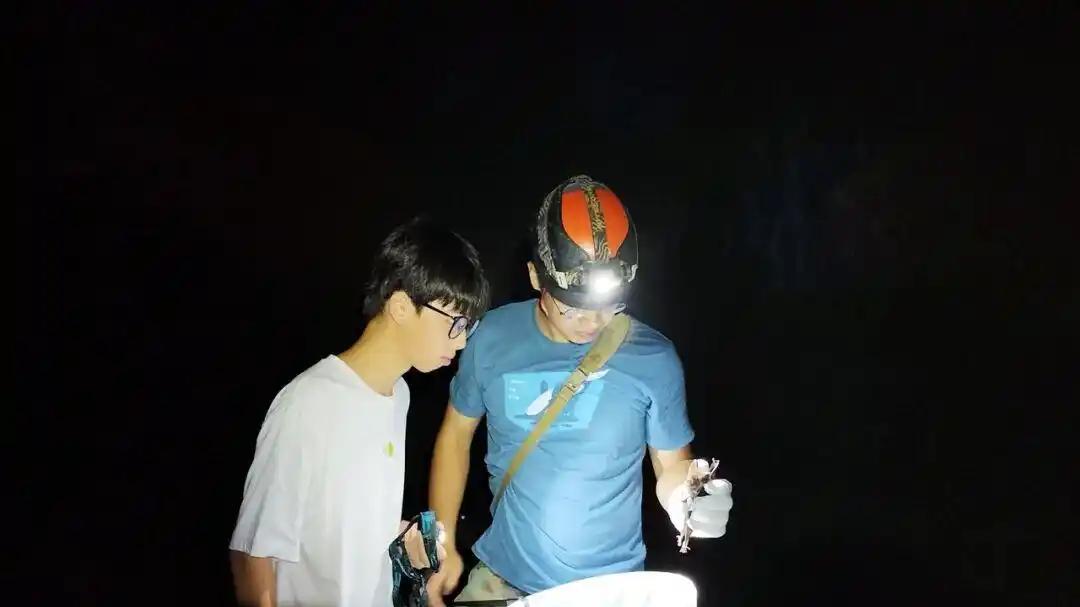 “筷子蛇”正式亮相！发现者胡家豪，17岁