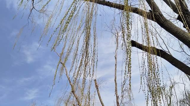 高中孩子内驱力匮乏时，我做了3件事，激活了主动学习与自我负责