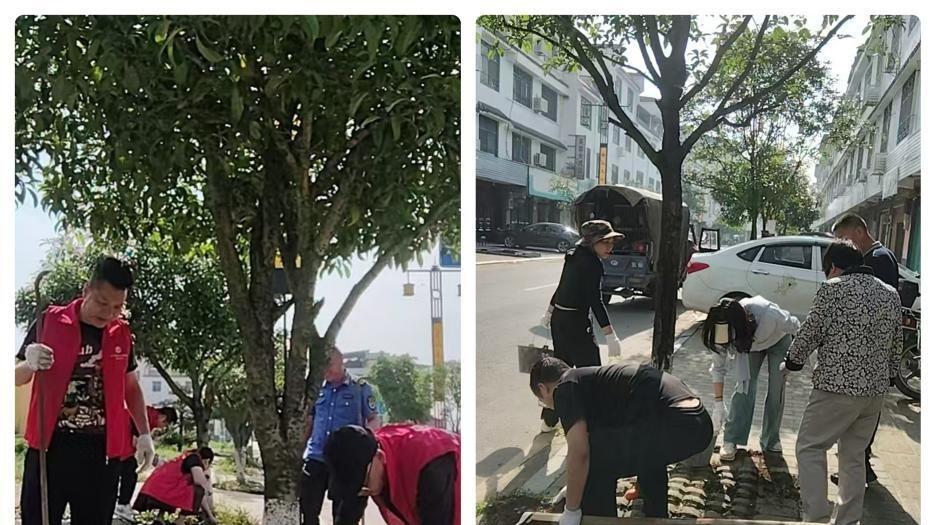 衡阳县曲兰镇组织开展镇街护绿行动