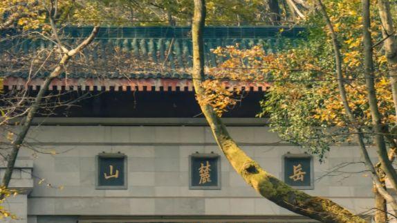 岳麓山徒步路线分享，从南门上山遇见爱晚亭的四季