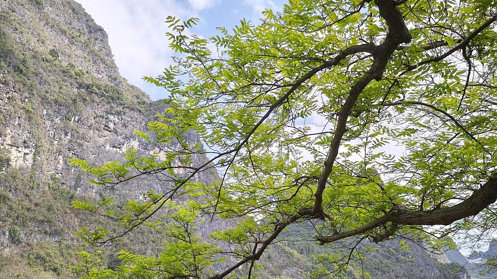 蝴蝶大乐透26030期分析，上期热码没有开出号码，那么本期的重点在哪里？