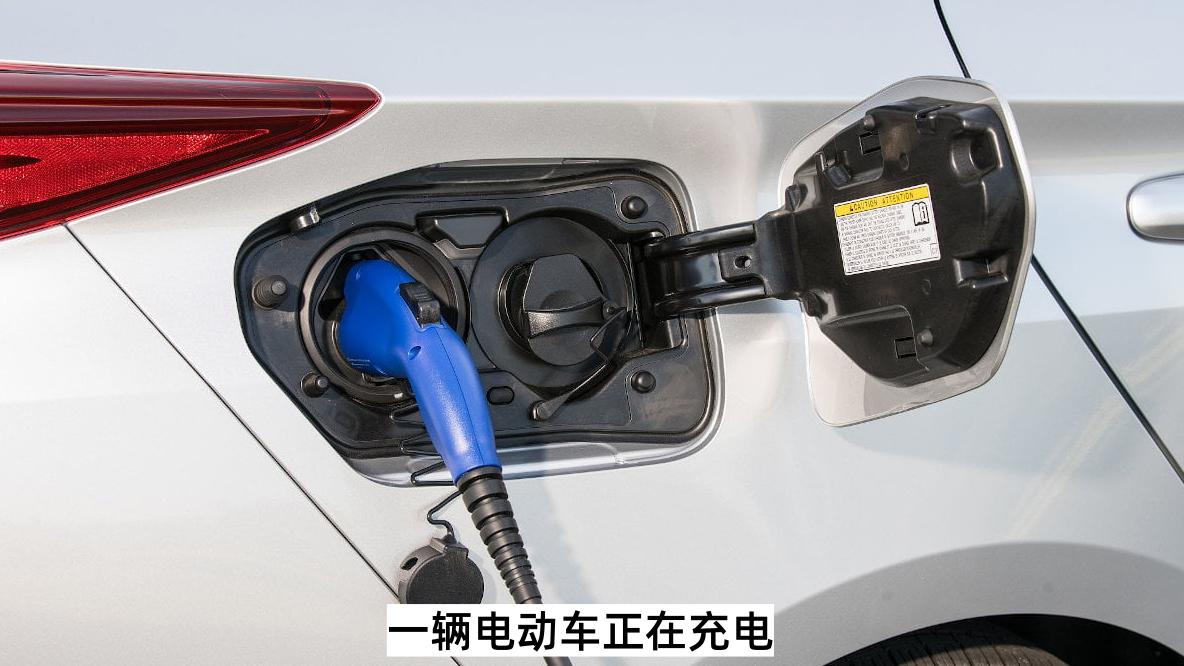 地下埋着全非洲最多的锂，老百姓却不敢用本币，津巴布韦想通了什么？