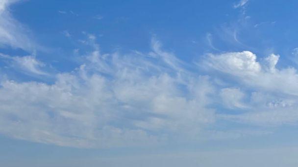 面朝大海，松林为伴：一湾碧海，治愈所有奔赴