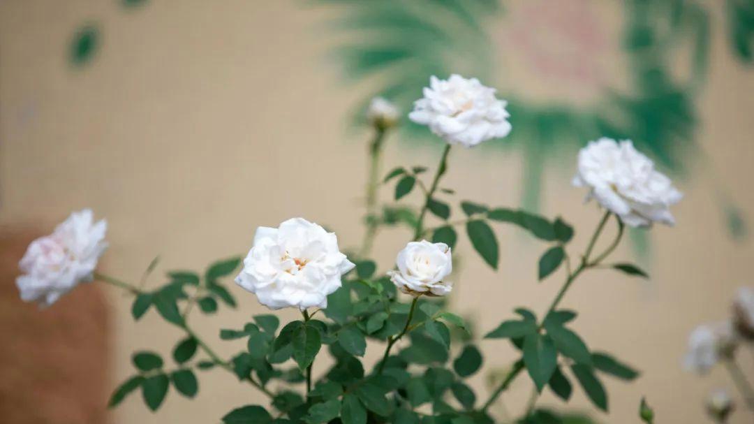 男人爱不爱你，别听他说什么，看他有没有这4个“藏不住的改变”