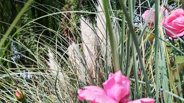 高三拥抱二轮复习，稳住家长迫切与焦虑情绪，孩子驱动力才更足