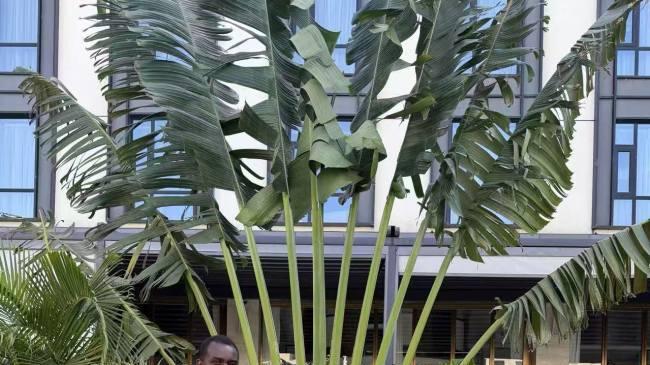 著名中医专家王守东教授肯尼亚开讲义诊