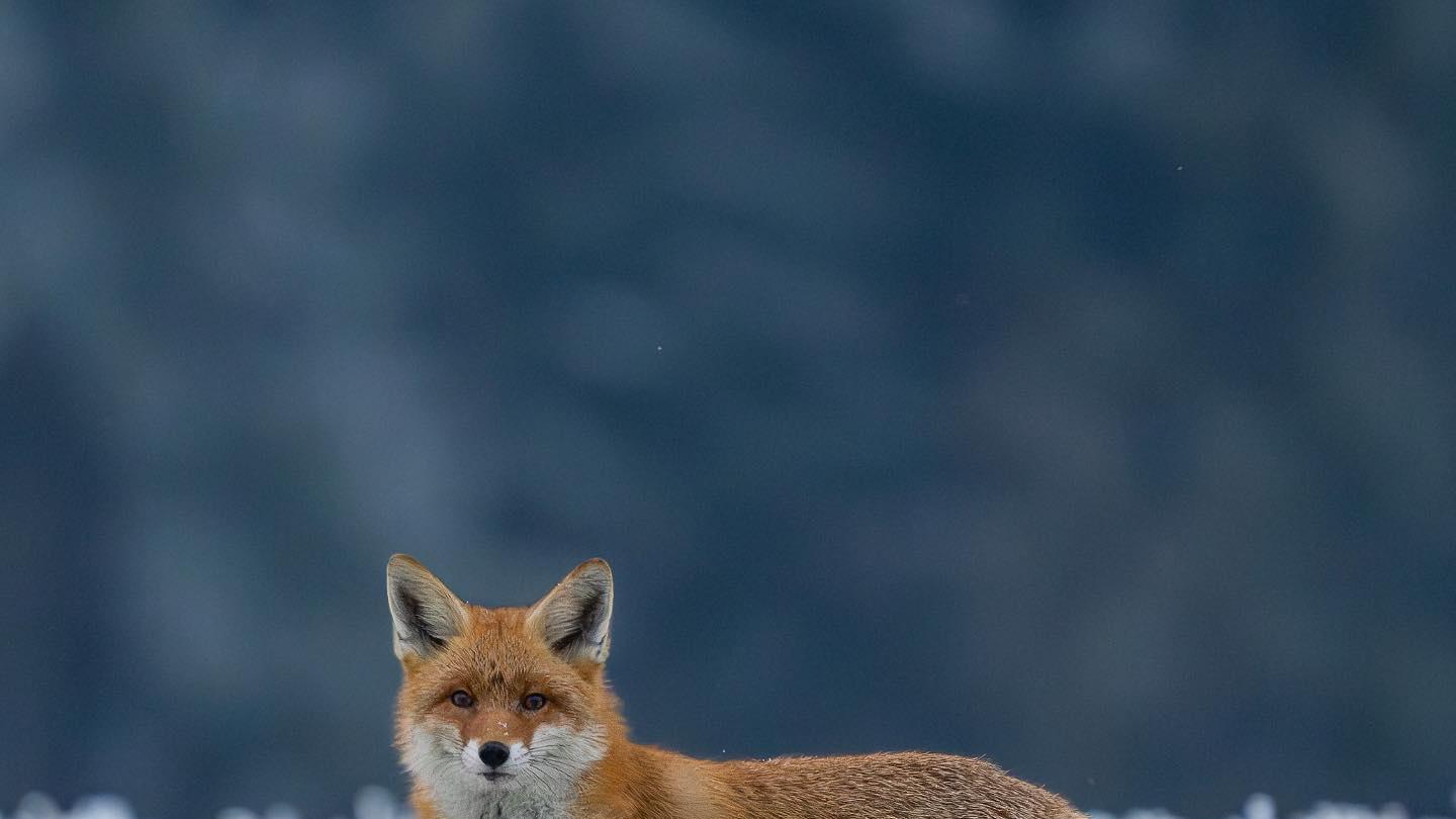 为什么“轻蔑”这种表情，能预测离婚率（访谈实录）