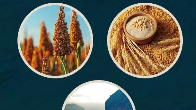 山河入酿，礼颂东方：一瓶“贵洞”背后的自然图腾与美学叙事