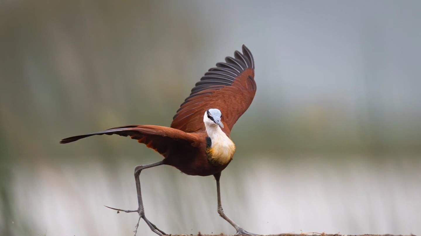 那些爱宅家的人，背后藏着你不知道的心理学真相