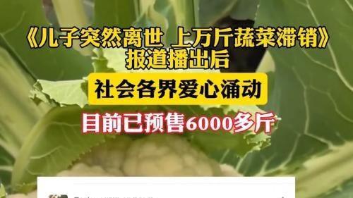 1天抢空上万斤菜，他一句话让全网破防了